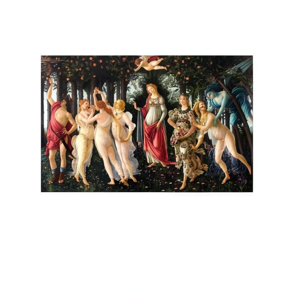 Womens Collegiate Crop Top Tank Cotton Stretch Fit Black-2