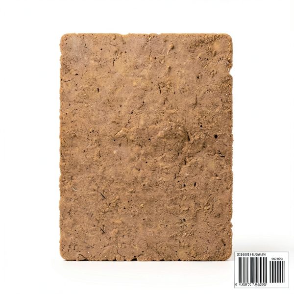 European Art History Book 78 Pages Independent-1